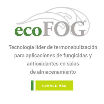ecoFog