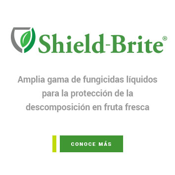 Shield-Brite