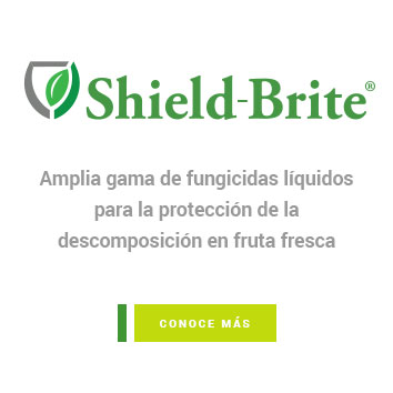 Shield-Brite
