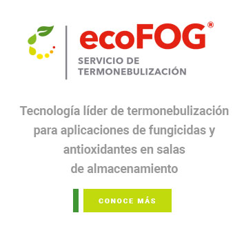 ecoFog