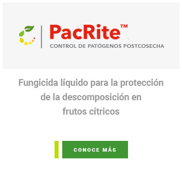PacRite