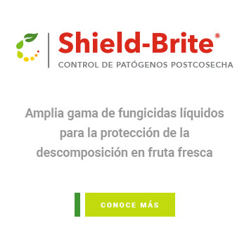 Shield-Brite