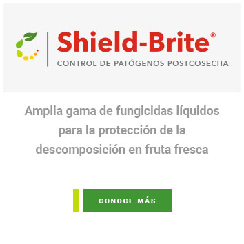 Shield-Brite