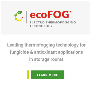 ecoFog